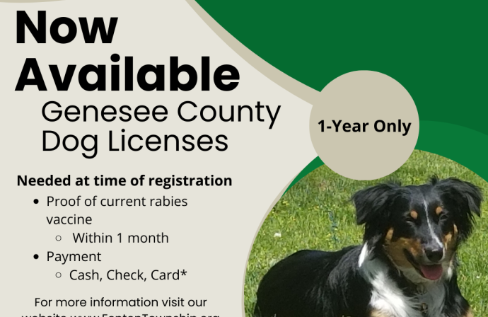 Picture of a black Tri-colored dog laying in grass. Text overlay states 2024 Genesee County Dog Licenses are now available.