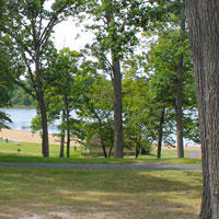 Green grassy area with a variety of trees. Highlighting the greenery of the park with the beach and water in the background.